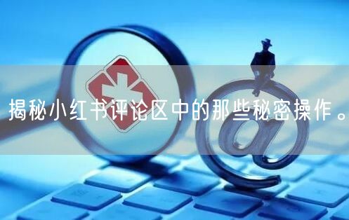 揭秘小红书评论区中的那些秘密操作。